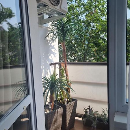 Apartman-Florianska コシツェ エクステリア 写真